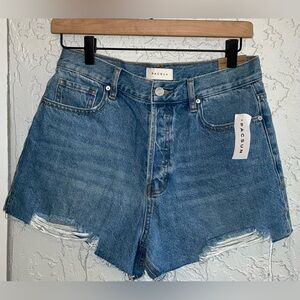 PacSun Vintage High Rise Classic Blue Jean Shorts (NWT)
